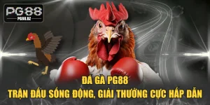 Đá Gà PG88